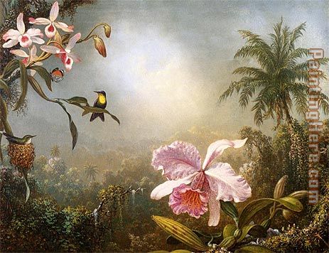 Martin Johnson Heade Orchids Nesting Hummingbirds and a Butterfly